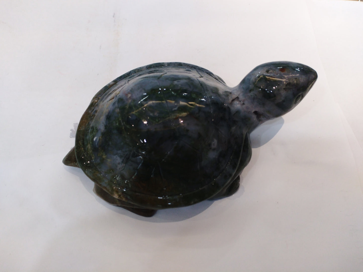 Moss Agate Tortoies- green